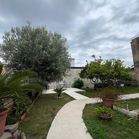 Villa Cycas à Cellole Extérieur photo