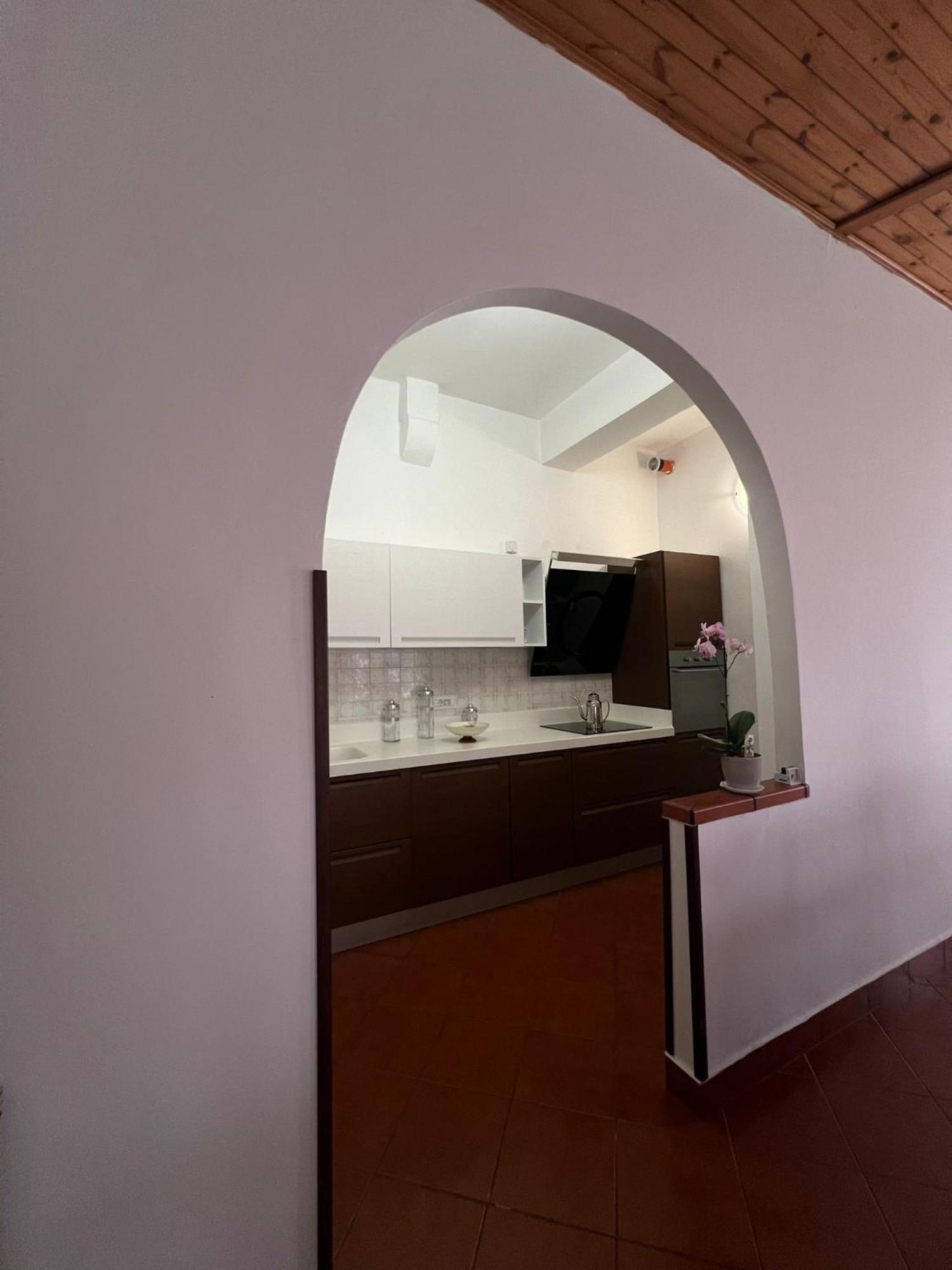 Villa Cycas à Cellole Extérieur photo