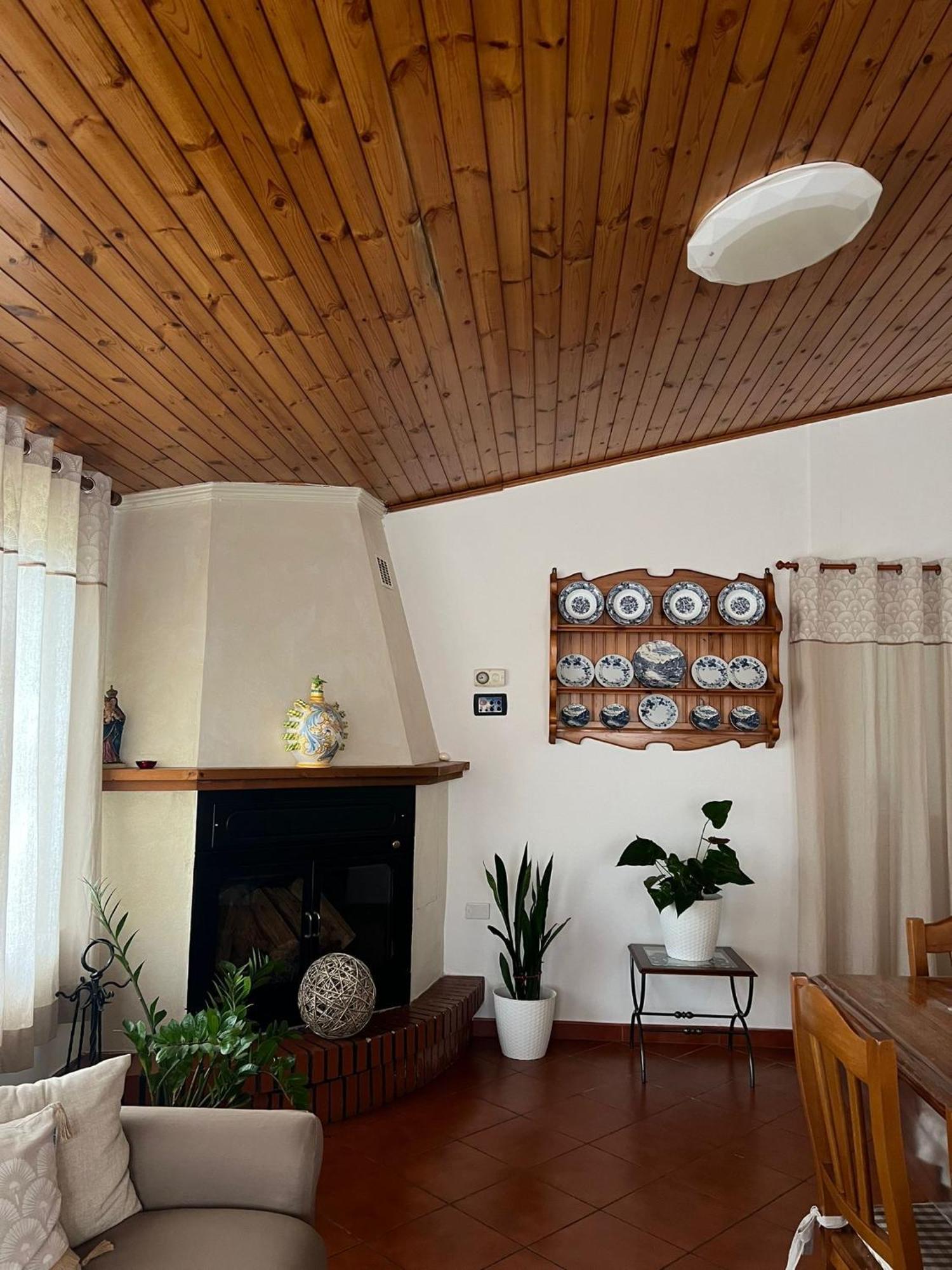 Villa Cycas à Cellole Extérieur photo