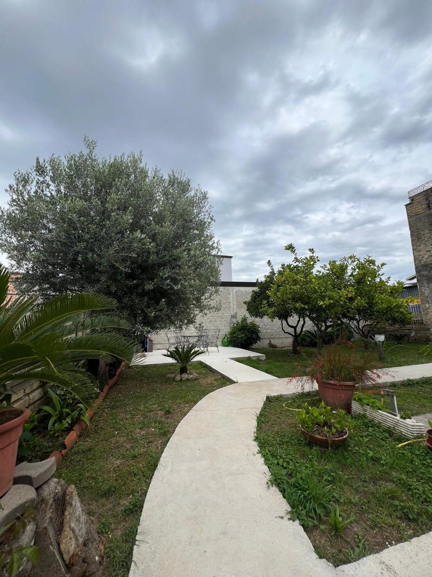 Villa Cycas à Cellole Extérieur photo